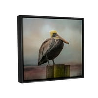 Stupell Pelikan smješten na divljini priroda životinja i insekata fotografija Crni plovak uokvireni umjetnički tisak zidna umjetnost