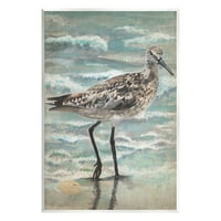 Stupell Industries Sandpiper Stepping plaže Coast Slikanje Umjetnička umjetnost Umjetnički print, dizajn Erica Christopher