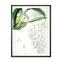 Designart 'drevna bijela orhideja II' Tradicionalno uokvireno platno zidno umjetnički tisak