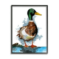 Mallard Duck Water's Edge Animals & Insects Graphic Art Black Framed Art Print Wall Art