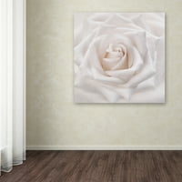 Zaštitni znak likovna umjetnost 'mekana bijela ruža' platno umjetnost Cora Niele