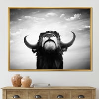 Crno -bijeli portret španjolskog bika koji sam uokvirio fotografsko platno umjetnički tisak