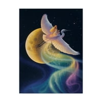 Zaštitni znak likovna umjetnost 'Let Aurora' platnene umjetnosti Kirk Reinert