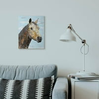 Stupell Industries Šareni apstraktna konjska životinja Cool Blue Collage Design Canvas Wall Art by Dawn Allen