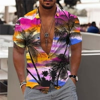 Havajske košulje za muškarce širokog kroja kratkih rukava Ležerne košulje s reverom na kopčanje ljetne blagdanske majice s uzorkom