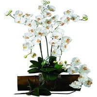 Gotovo prirodna stabljika phalaenopsis, kremasta, 12kom