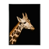 Izbliza portreta žirafe na crnom platnu uokvirenom u A. M., umjetnički tisak