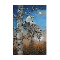 Zaštitni znak likovna umjetnost 'Moonlight Eagle' platno umjetnost Carol J Rupp