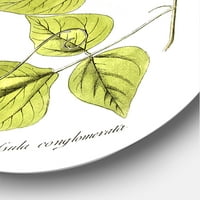 DesignArt 'drevni botanički proizvodi XXI' Tradicionalna metalna zidna umjetnost kruga - disk od 23 godine