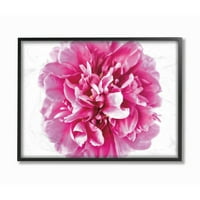 Ružičaste latice Pop cvijeća ružičaste obline uokvirena fotografija zidni umjetnički dizajn Elise catteroll, 16 20