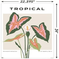 Botanički Tropski zidni plakat, 22.375 34
