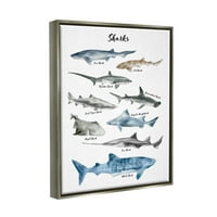 Stupell Industries Nautical Shark Tablica akvarelna morskih životinja sjajna siva uokvirena plutajuća platna zidna umjetnost, 24x30