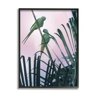 Tropski papagaji, ružičasto nebo, životinje i insekti, fotografija, umjetnički tisak u crnom okviru, zidna umjetnost