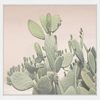 Cactus gomila uokvirena slika slika