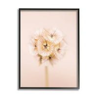 Pastel ružičasta cvjetna grančica cvjetanja botanička i cvjetna fotografija crno uokvirena umjetnička print art art art