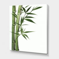 DesignArt 'detalj tamnozelenog bambusa i lišća I' tradicionalna platna zidna umjetnička tiska