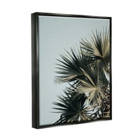 Stupell Industries Palm biljka ostavlja plavo nebo obalna fotografija crni plutački uokvireni umjetnički print zid umjetnosti