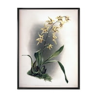 DesignArt 'Cvijet drevnih orhideja' Tradicionalno uokvireno platno zidne umjetničke ispis