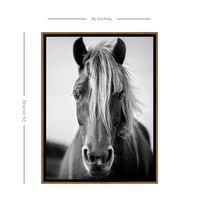 Stratton Home Decor Crno -bijeli divlji konj uokviren platno zidna umjetnost