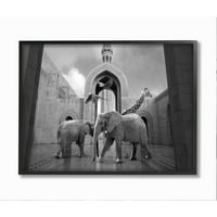 Stupell Industries Safari Animals in Arabesque Architecture Parrots slonovi žirafa uokvireni zidni umjetnički dizajn Ziwei Li, 11