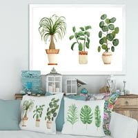 Dizajnerska umjetnost Trio sobnih biljaka-Ficus, rep i Palma uokvireni tradicionalni umjetnički tisak
