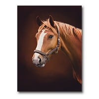 DesignArt 'Izbliza portret smeđeg konja s bijelim nosom II' Farmhouse platno zidni umjetnički tisak
