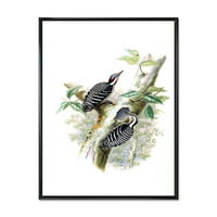 Drevne ptice u divljini u amb uokvirena slika platno umjetnički tisak