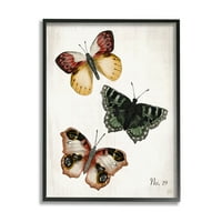 Stupell Industries Trio of Leptirs Farmhouse uzorka krila šarmantni insekti, 20, dizajn Jackie Quigley
