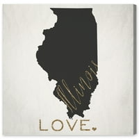 Wynwood Studio Maps and Flags Wall Art Canvas Otisci 'Illinois Love' Us State Flags - Black, White