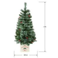 Vrijeme odmora od 4 metra unaprijed osvijetljeno umjetno dexter u lončanom trijemu božićno drvce, s bistra svjetla