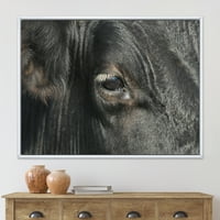 Izbliza kravljeg oka uokvirenom fotografskom platnu umjetnički tisak